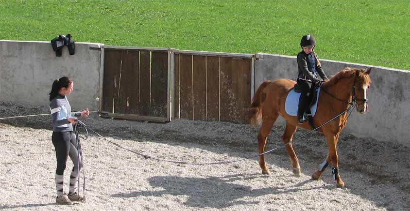 Villa Aina The Horse Riding4